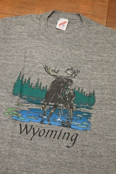 画像2: 【クリックポスト185円も可】90s JERZEES "Wyoming" Tシャツ アメリカ製(GRAY/M)ビンテージ 中古