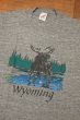 画像2: 【クリックポスト185円も可】90s JERZEES "Wyoming" Tシャツ アメリカ製(GRAY/M)ビンテージ 中古 (2)