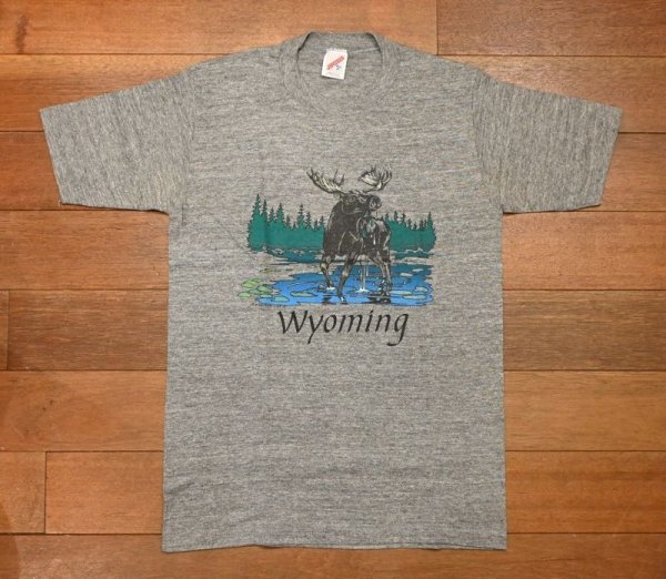 画像1: 【クリックポスト185円も可】90s JERZEES "Wyoming" Tシャツ アメリカ製(GRAY/M)ビンテージ 中古 (1)