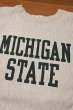 画像3: 80s CHAMPION REVERSEWEAVE チャンピオン リバースウィーブ クルーネック "MICHIGAN STATE"染み込み アメリカ製(Gray/L)ビンテージ (3)