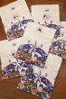 画像11: 【クリックポスト185円も可】'95 DEADSTOCK MLB ALL-STAR GAME Tシャツ SALEM SPORTSWEAR アメリカ製(White/L)野茂英雄ルーキーイヤー デッドストック (11)