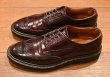 画像5: ALDEN オールデン3192 コードバン ウィングチップ アメリカ製(BURGUNDY,6 1/2-D)箱/袋つき 美中古 (5)